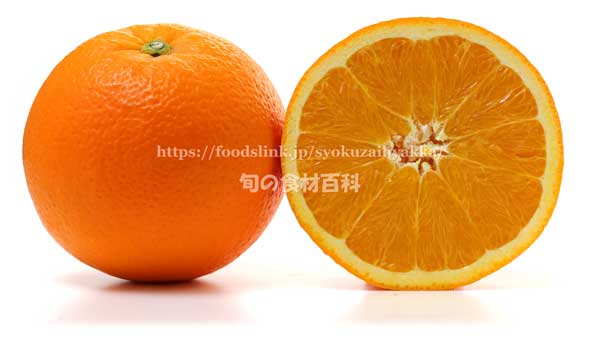 国産オレンジ、デリッシュネーブル（白柳ネーブル）の断面