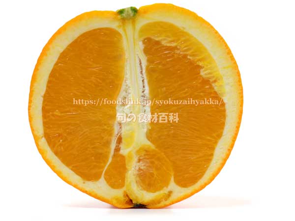 国産オレンジ、デリッシュネーブル（白柳ネーブル）の断面