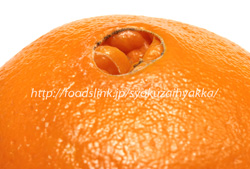 ネーブルオレンジ（Navel-orange）のへそ
