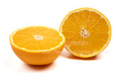 白柳（しろやなぎ）ネーブル　オレンジ　シロヤナギ