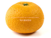 市木オレンジ