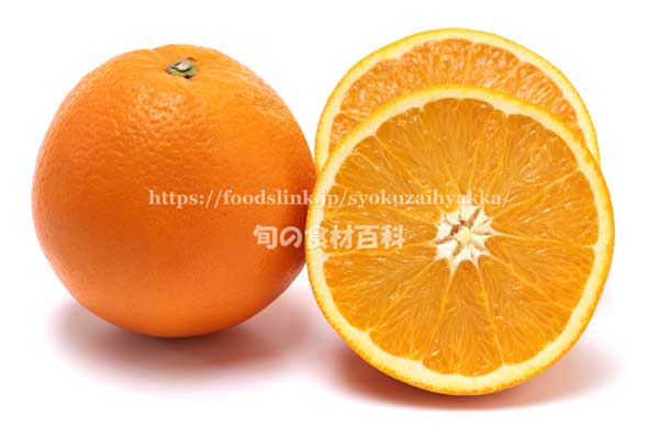 森田ネーブル オレンジ