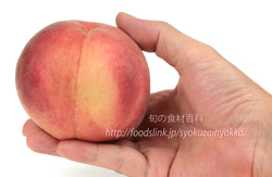 なつっこ：桃（もも）の大きさ
