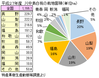 全国の川中島白桃の栽培面積