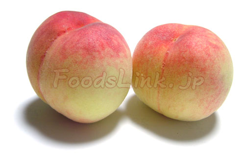 桃 モモ もも 旬の果物百科