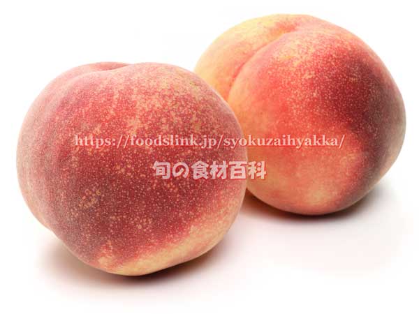 なつっこ:桃 なつっこ:桃(もも)