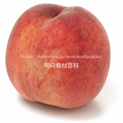 sekiho007bm.jpg