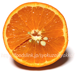 セミノール