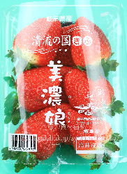 美濃娘／みのむすめ 岐阜県のいちご　イチゴ