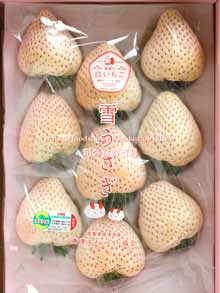 雪うさぎ,YUKIUSAGI,ゆきうさぎ,さくらいちご,白イチゴ