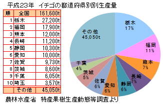 全国のイチゴ生産量ランキング