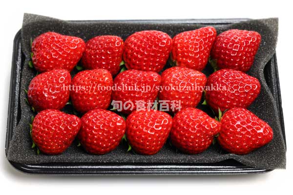 トレーに詰められたいちご ベリーポップ はるひ