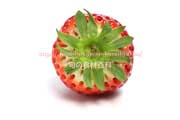 イチゴ ベリーポップ はるひ