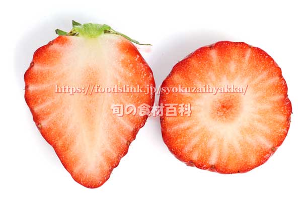 いちご ベリーポップ はるひの縦横断面