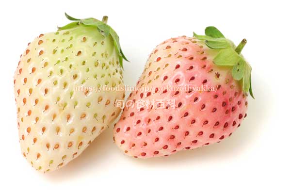 初恋の香り,和田初こい,白いちご,白いイチゴ,苺