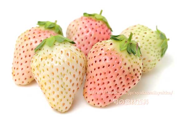 初恋の香り,和田初こい,白いちご,白いイチゴ,苺