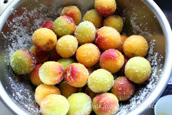梅干の作り方１ 梅の塩漬け 旬の果物百科
