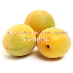 城州白（じょうしゅうはく） ＜ 実梅 | 旬の果物百科