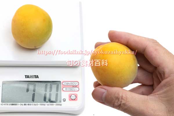 大きいものは71ｇもある城州白（じょうしゅうはく） 梅の実