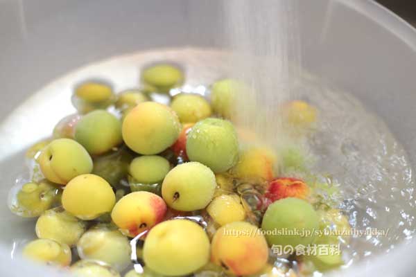梅シロップ（梅ジュース）の作り方