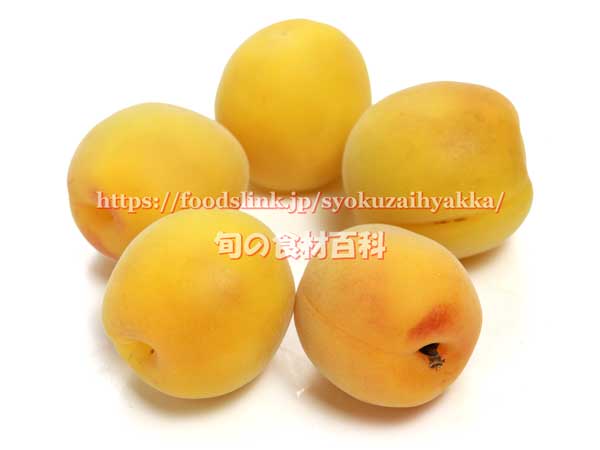 福太夫（ふくだゆう） 実梅