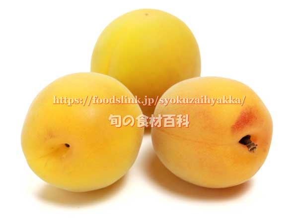 福太夫（ふくだゆう） 実梅
