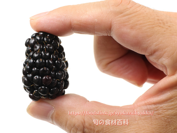 ブラックベリー　blackberry