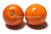 ブラッドオレンジの品種：タロッコオレンジ
