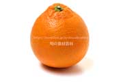 タロッコ種ブラッドオレンジ