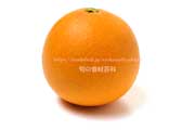 タロッコ種ブラッドオレンジ