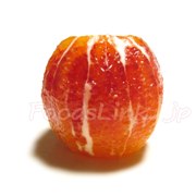 タロッコオレンジ＜ブラッドオレンジ
