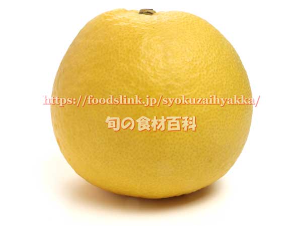 メイポメロ 柑橘