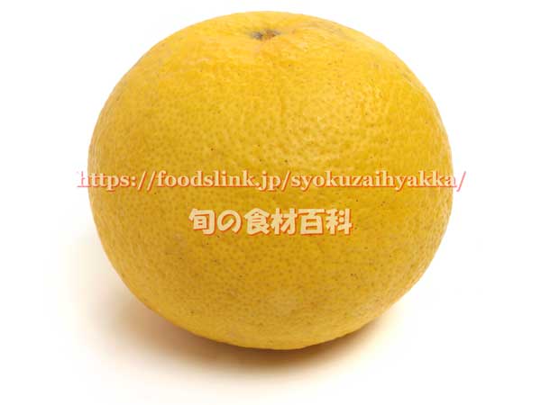イエローポメロ 柑橘