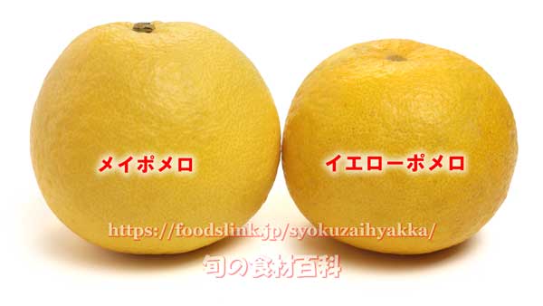 メイポメロとイエローポメロ 柑橘