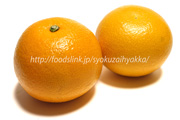 八朔（はっさく／ハッサク）　みかん　柑橘