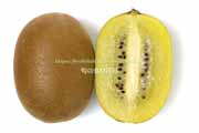 イエローキウイ／ジンタオ種の断面　キウイフルーツ
