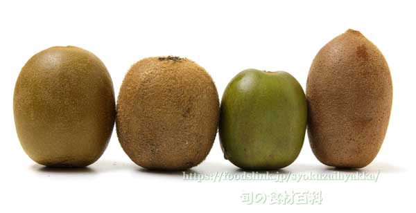 4種のキウイフルーツ、ゼスプリ・サンゴールド、ヘイワード、ゼスプリ・ルビーレッド、讃緑