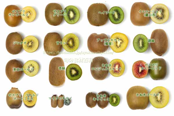色々なキウイフルーツの断面一覧 品種、バリエーション