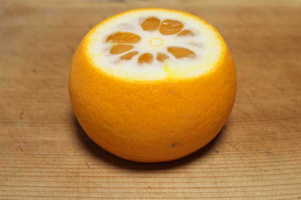清見（きよみ）,タンゴール,オレンジ,みかん,柑橘