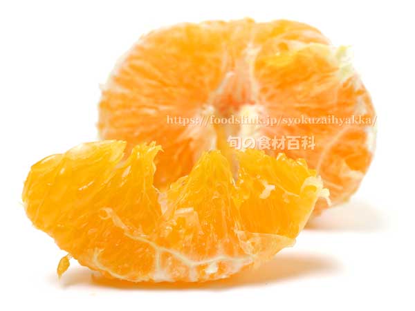 皮を剥いた清見（きよみ）のサジョウ,タンゴール,オレンジ,みかん,柑橘