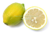 アレンユーレカ種レモン