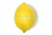 ユーレカ種（Eureka）レモン