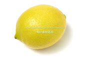 リスボン種レモン