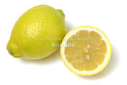  リスボン種レモン