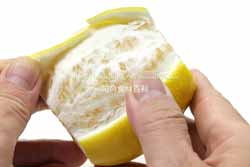 璃の香（りのか）レモンと一般的なレモン