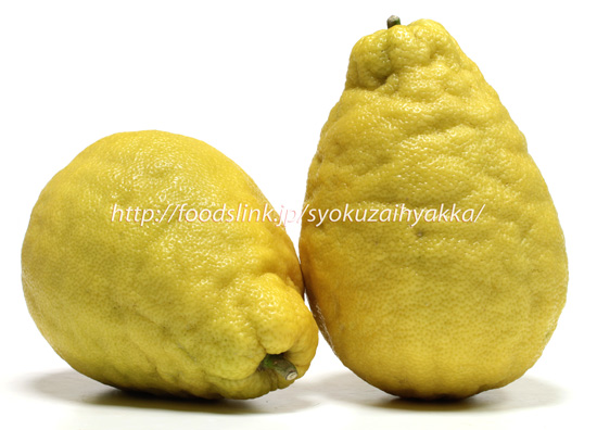 ジャンボレモン／ポンデローザ（Ponderosa lemon）