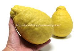 ジャンボレモン／ポンデローザ／Ponderosa lemon