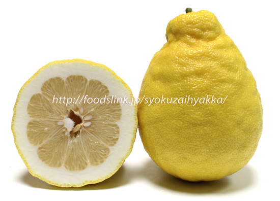 ジャンボレモン／ポンデローザ／Ponderosa lemon