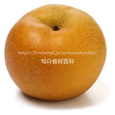 ⚠️にこいち⚠️茨城県産　梨/甘ひびき　秀品/キロ フリーサイズ amahibiki010bm.jpg