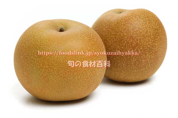 玉水(ぎょくすい) 梨 玉水(ぎょくすい) 梨